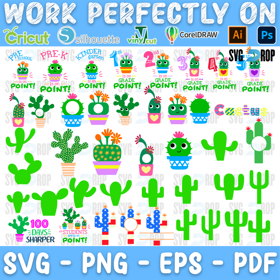 Cactus is on Point School Grade Level Bundle SVG