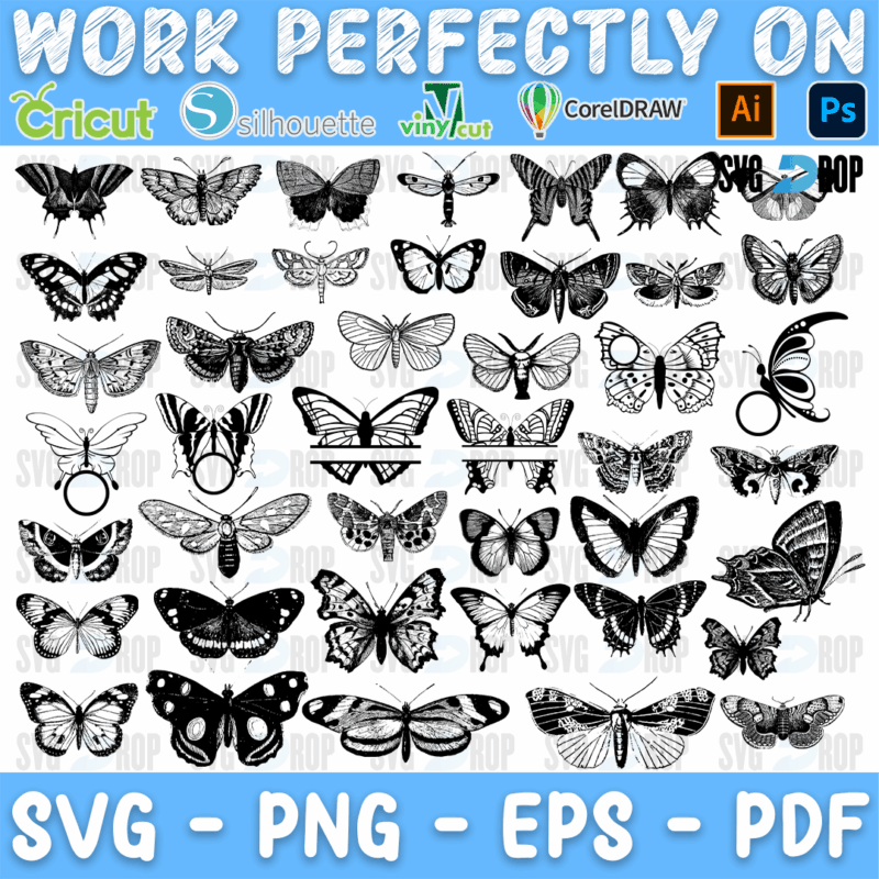 A sheet of detailed black butterflies and moths in an engraved style, with patterned wings, split monograms and circle frames. SVG bundle
