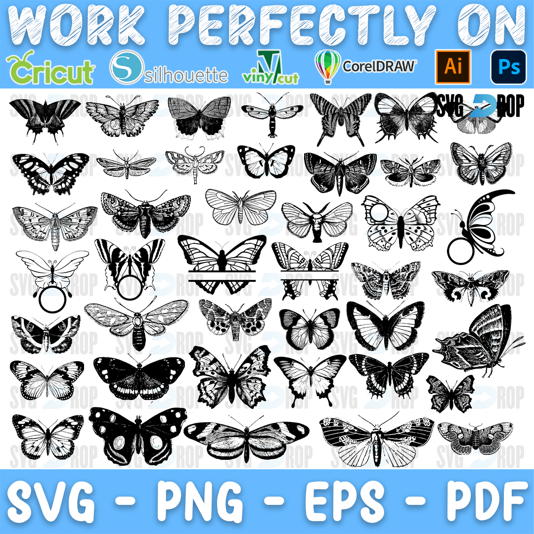 Butterfly and Moth Engraved Bundle SVG