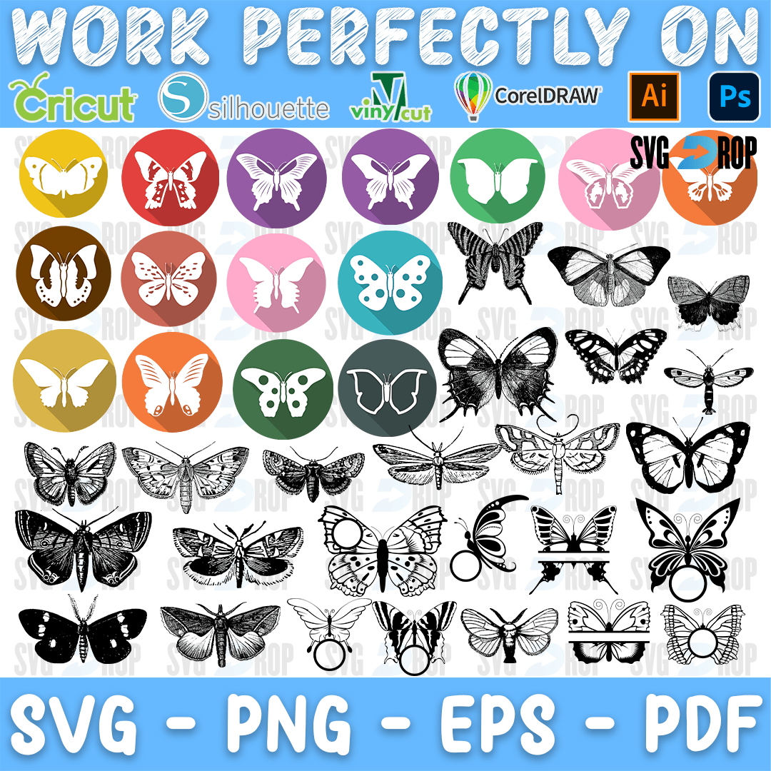 Butterfly Color Circle Badges Bundle SVG