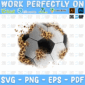 Soccer Leopard Patches PNG