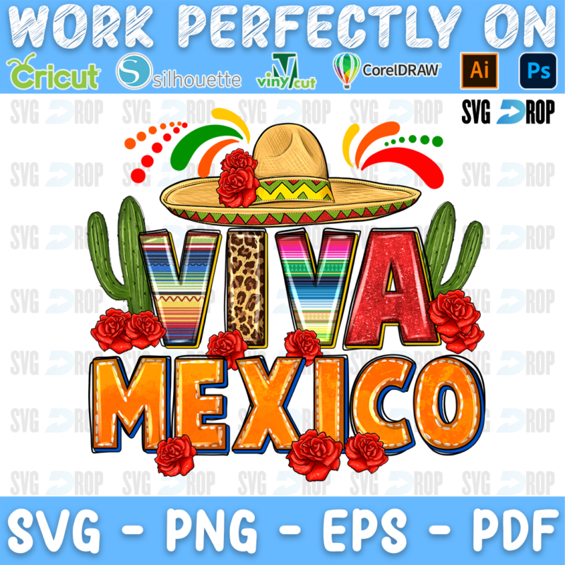 Viva Mexico lettering in serape, leopard and orange letters with a sombrero, cactus and red roses. Sublimation PNG